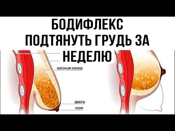 Похудела чтобы вертеться на хую как пропеллер Похудела чтобы вертеться на хую как пропеллер