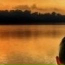 Юра Піхо фотография #49 (источник - https://vk.com/id65960313)