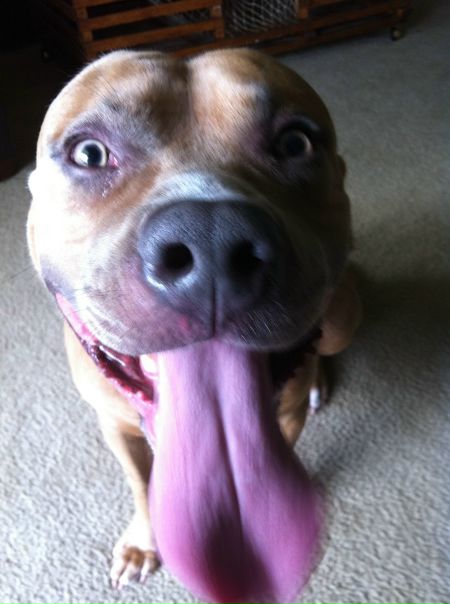 Данил Беляев фото №26