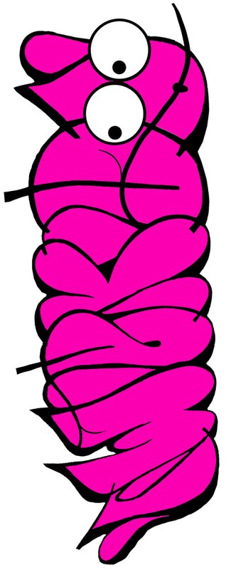 Ян Веко фотография #34