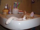Діана Ставка фотография #28 (источник - https://vk.com/id166687039)