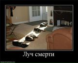 Ірина Куян фотография #5 (источник - https://vk.com/id41514399)