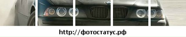 Саша Кіт фотография #20 (источник - https://vk.com/id87296016)