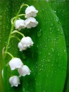 Фотография Сушковой Елены