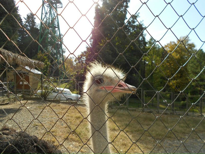 Александр Батенко фотография #41