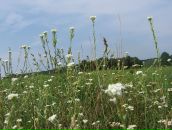 Віталій Карпенко фотография #22 (источник - https://vk.com/id86719783)