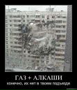 Назар Стасів фотография #48 (источник - https://vk.com/id55325262)