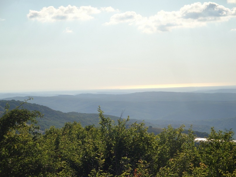 Серёжка Гринченко фотография #40