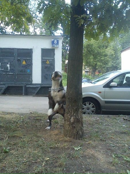 Дмитрий Дмитрий фото №7