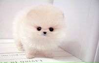 Андрій Конзюба фотография #5 (источник - https://vk.com/id126428404)