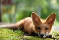 Фотография Ленской Юлии