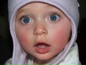 Happy Pups фотография #2 (источник - https://vk.com/id5758973)