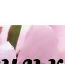 Анастасія Гудзак фотография #23 (источник - https://vk.com/id98965948)