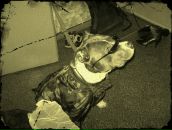 Фотография Овечкина Максима