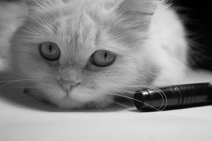 Dr Dmitriy фотография #15