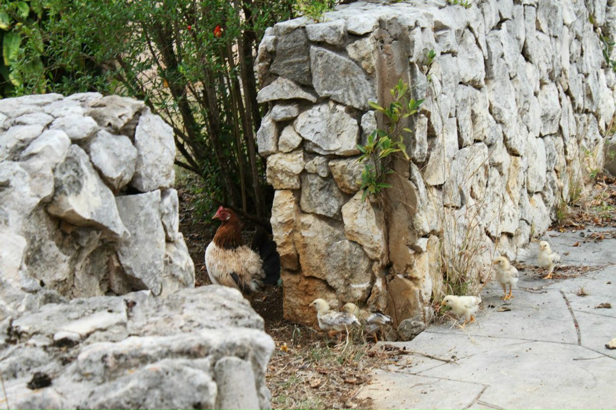 Александр Закатаев фотография #6