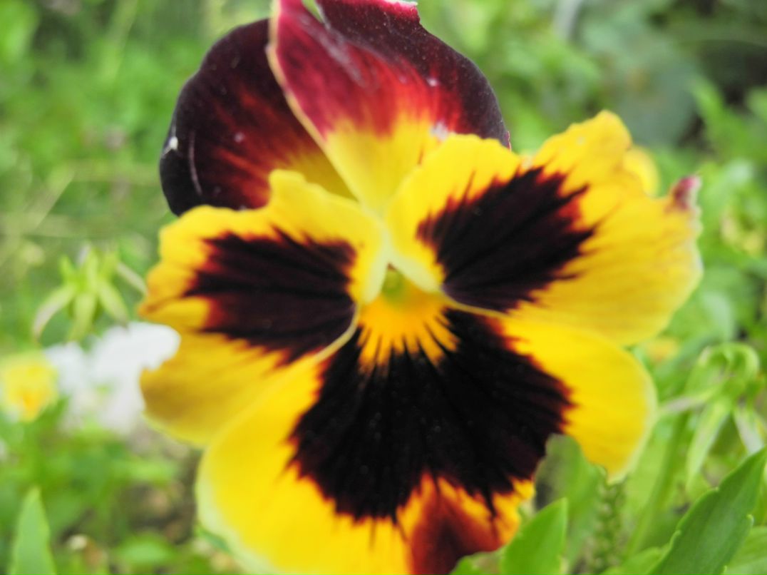 Илья Маслов фотография #50