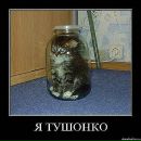 Степан Лівандовський фотография #32 (источник - https://vk.com/id30151976)