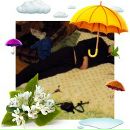 Фотография Просвирова Максима