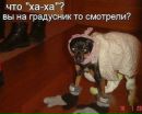 Вікторія Качмарик фотография #4 (источник - https://vk.com/id179467038)