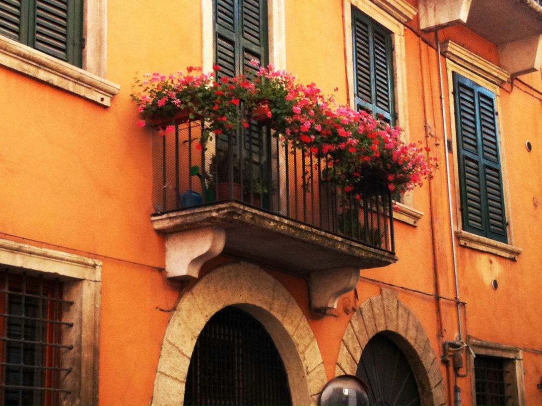 Al Ex фотография #28