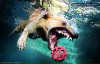 Фотография Акашкина Дениса