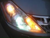 Фотография Мыльцева Ильи