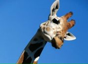 Фотография Акбаровой Марии