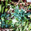 Мария Халусова фотография #31 (источник - https://vk.com/id7907)