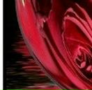 Юлія Коновалова фотография #18 (источник - https://vk.com/id90052186)