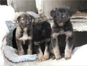 Фотография Шляковой Марии