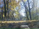 Вадік Левицький фотография #11 (источник - https://vk.com/id59534693)