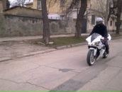 Фотография Baracuda Вовы