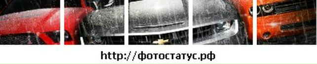 Мишко Білан фотография #7 (источник - https://vk.com/id142909323)