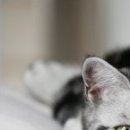 Наталія Олійник фотография #13 (источник - https://vk.com/id85387598)