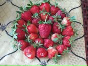 Юлія Золотоцька фотография #3 (источник - https://vk.com/id64797630)