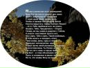 Іван Савіцький фотография #36 (источник - https://vk.com/id13547421)