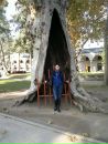 Фотография Гассан Алены