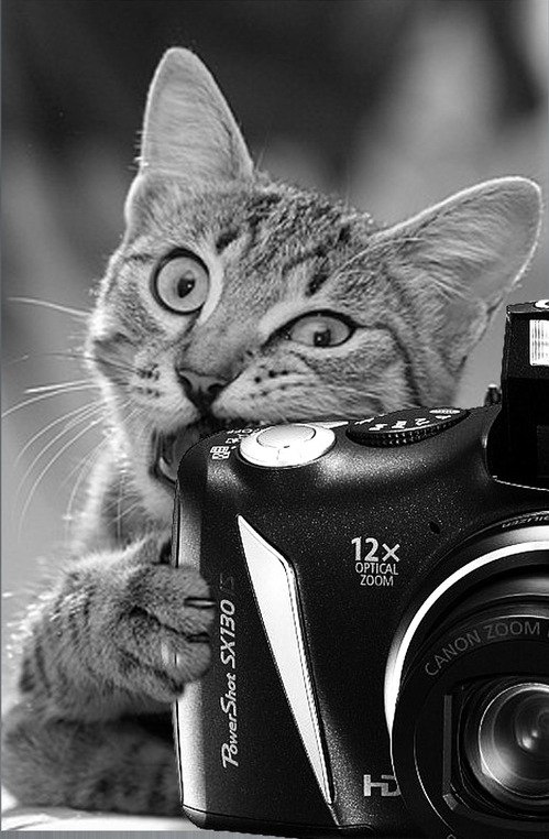 Евгений Савин фотография #27