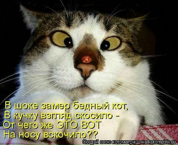 Дмитрий Новосёлов фото №10