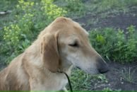 Фотография Архиповой Марии