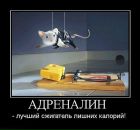 Ярослав Цвігун фотография #24 (источник - https://vk.com/id62915669)