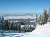 Фотография Грибановой Катерины