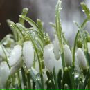 Ірина Ботвин фотография #38 (источник - https://vk.com/id85026554)