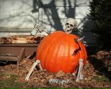 Олександр Іценко фотография #22 (источник - https://vk.com/id49919628)