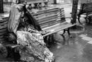 Homeless Natural фотография #8 (источник - https://vk.com/id156432223)