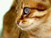 Фотография Катя Филатова