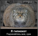 Юрій Лисий фотография #4 (источник - https://vk.com/id50758008)