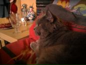 Фотография Клюжевой Олечки