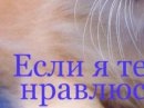 Вероніка Прасол фотография #47 (источник - https://vk.com/id150463864)